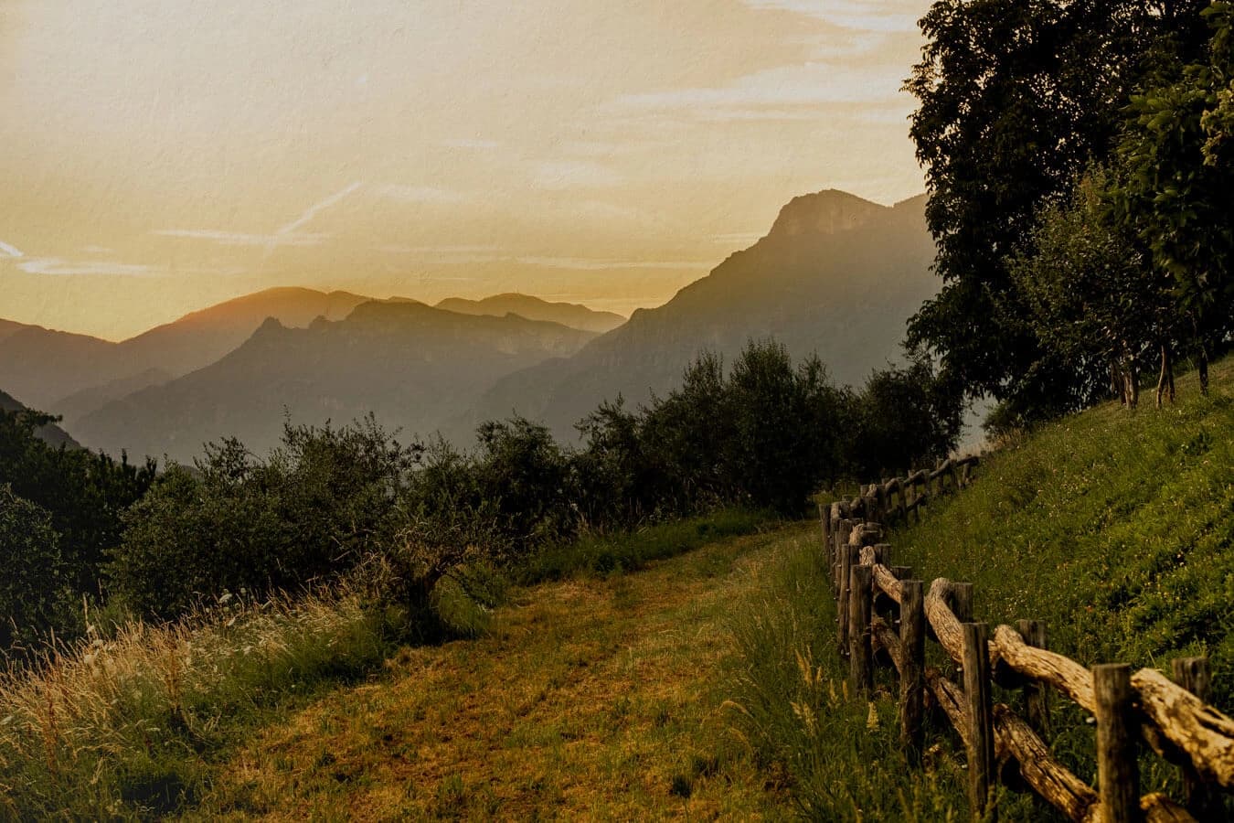 Officina Botanica Catalogo Prodotti