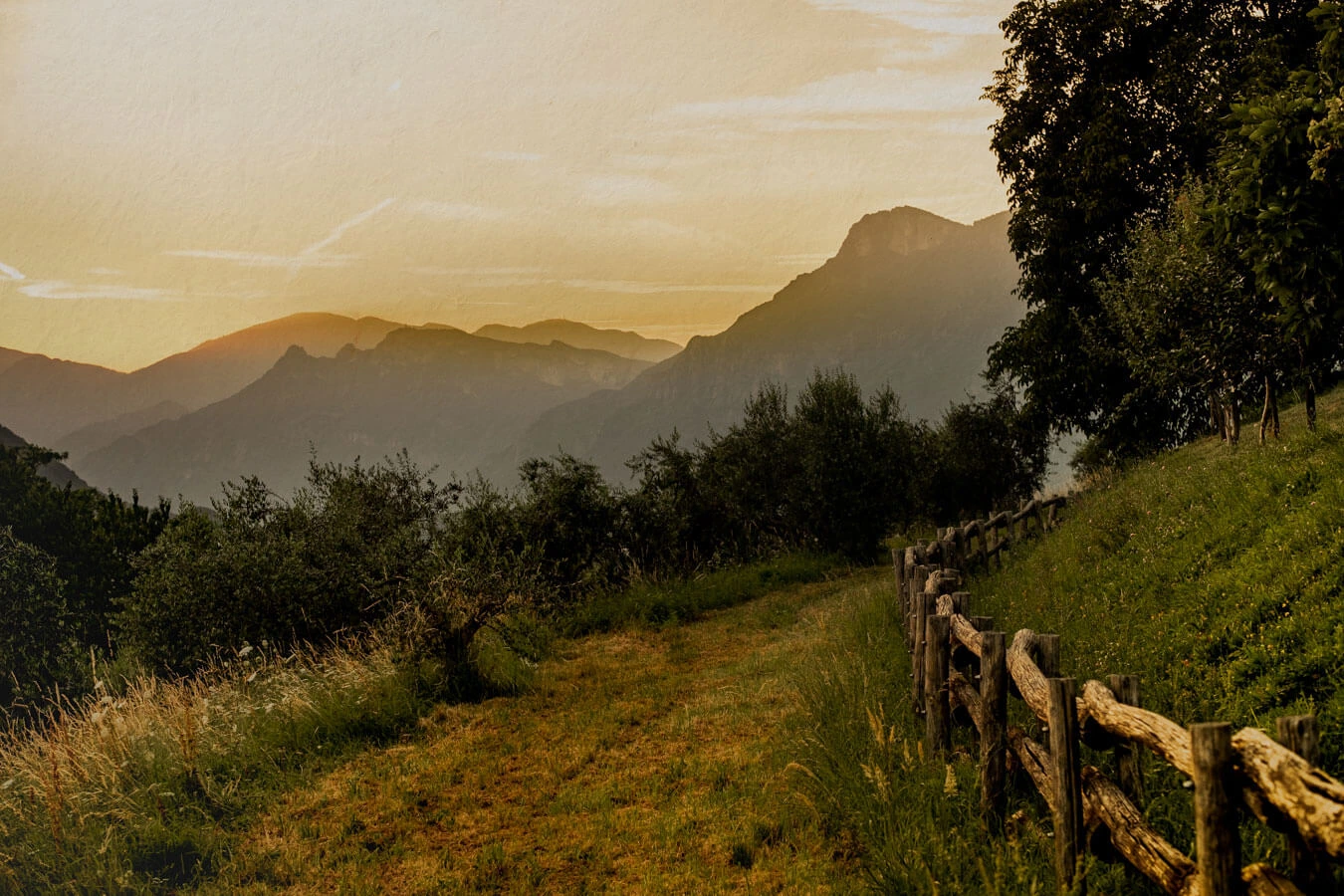 Officina Botanica Catalogo Prodotti